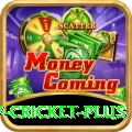v cricket King Gaming App