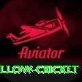 willow cricket Deluxe Pro v4.4.1