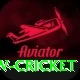 willow cricket Deluxe Pro v4.4.1