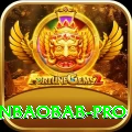 winbaobab Live Premium