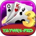 yaywin Pro PK v2.4.4